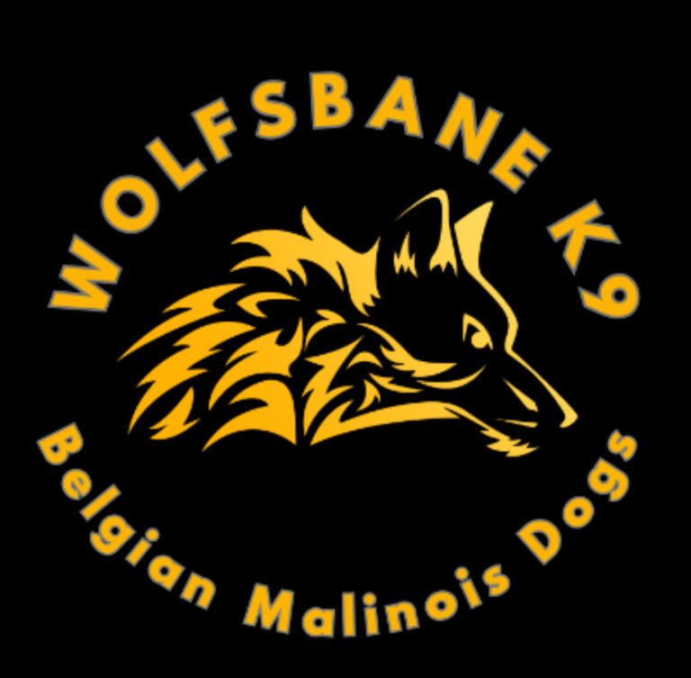 Wolfsbane K9 Belgian Malinois Dogs.